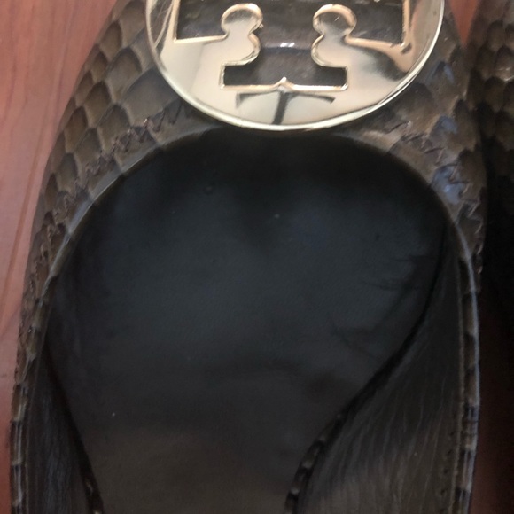 Reva Litus Snake Print (Metal Logo) - Picture 4 of 8